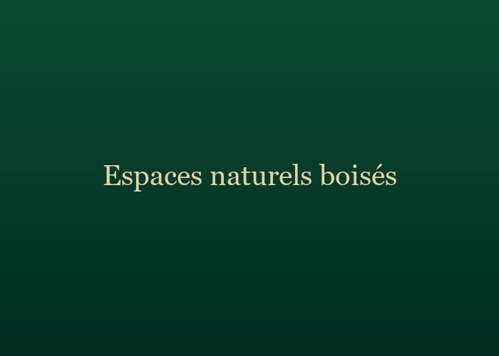 Espaces naturels boisés — Hôtel Mont Fébé